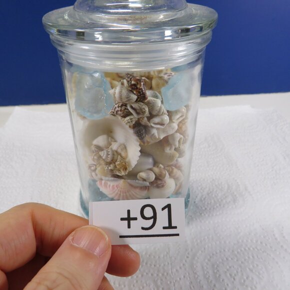 REAL sea shells in a New Glass Jar w seal & lid 5.75" tall (1+ pounds) - Picture 9 of 14